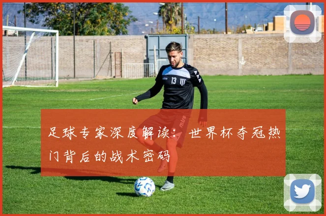 足球专家深度解读：世界杯夺冠热门背后的战术密码