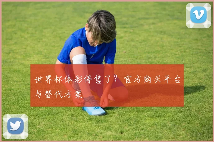 世界杯体彩停售了？官方购买平台与替代方案