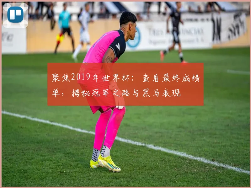 聚焦2019年世界杯:查看最终成绩单,揭秘冠军之路与黑马表现