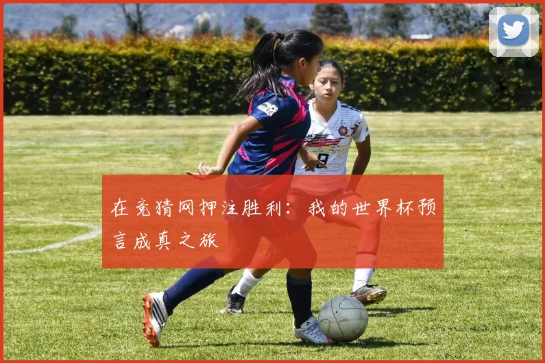 在竞猜网押注胜利：我的世界杯预言成真之旅