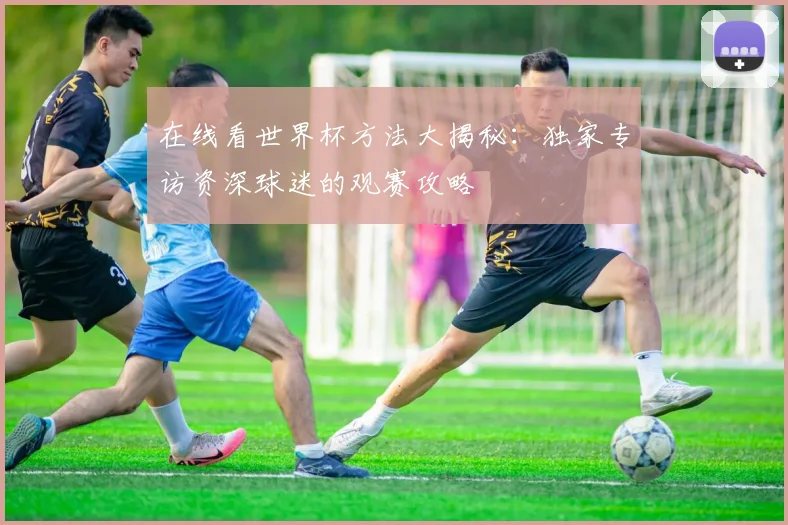 在线看世界杯方法大揭秘：独家专访资深球迷的观赛攻略
